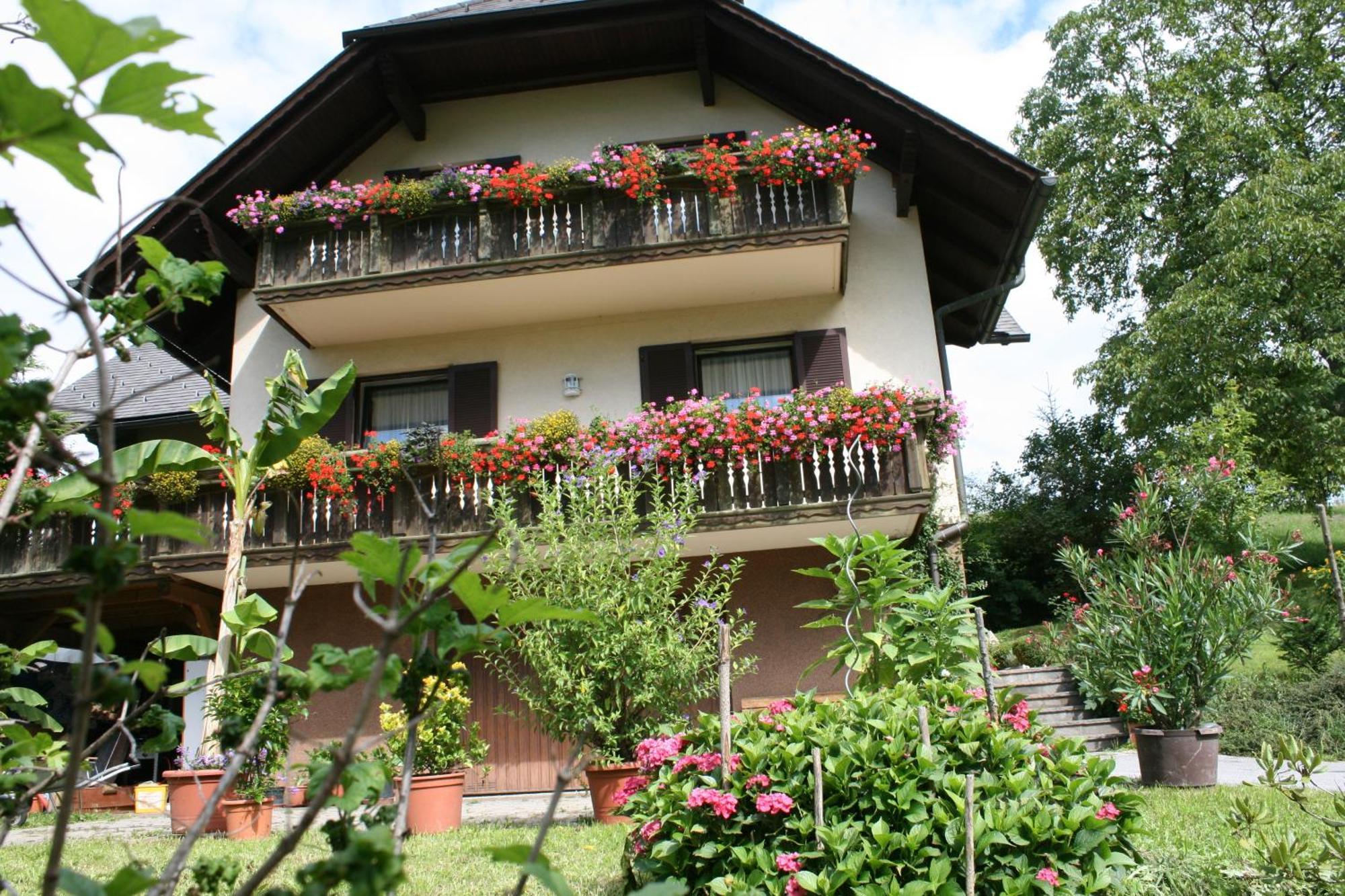 Gasthaus - Gaestehaus Schusterbauer Rein Dış mekan fotoğraf